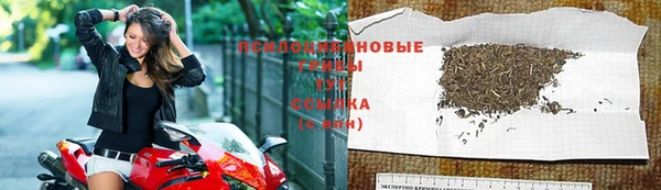 Альфа ПВП Дмитров