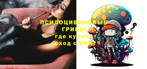 герыч Дмитриев