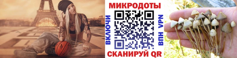 Псилоцибиновые грибы Psilocybine cubensis  Невьянск 